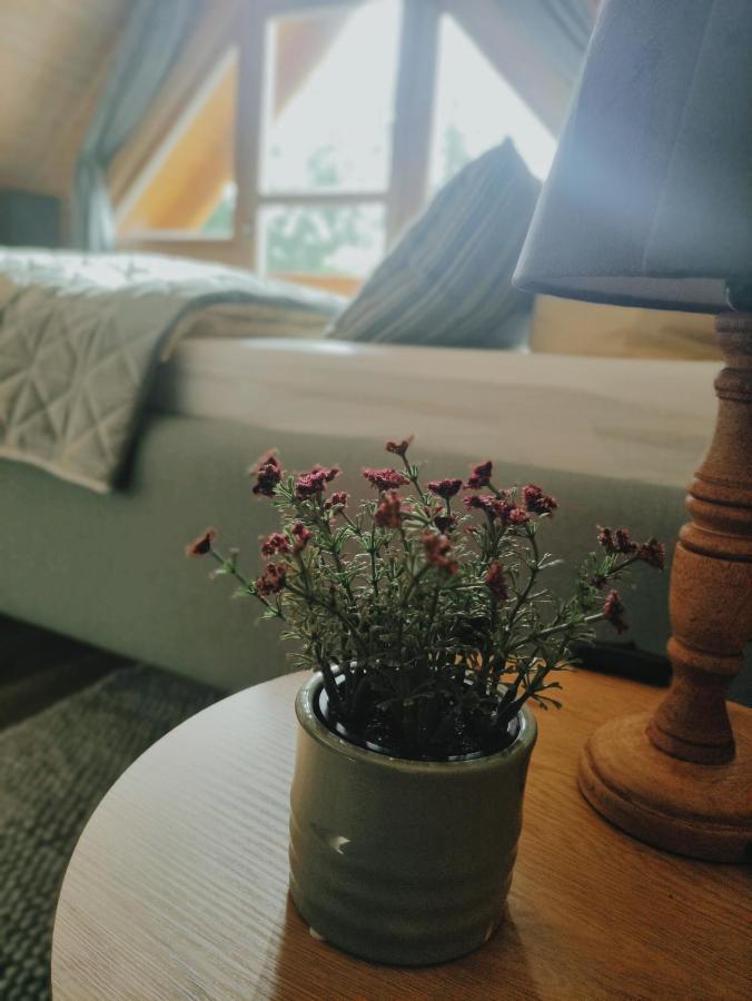 Ferienhaus Birkholz Harz Ilsenburg Ngoại thất bức ảnh