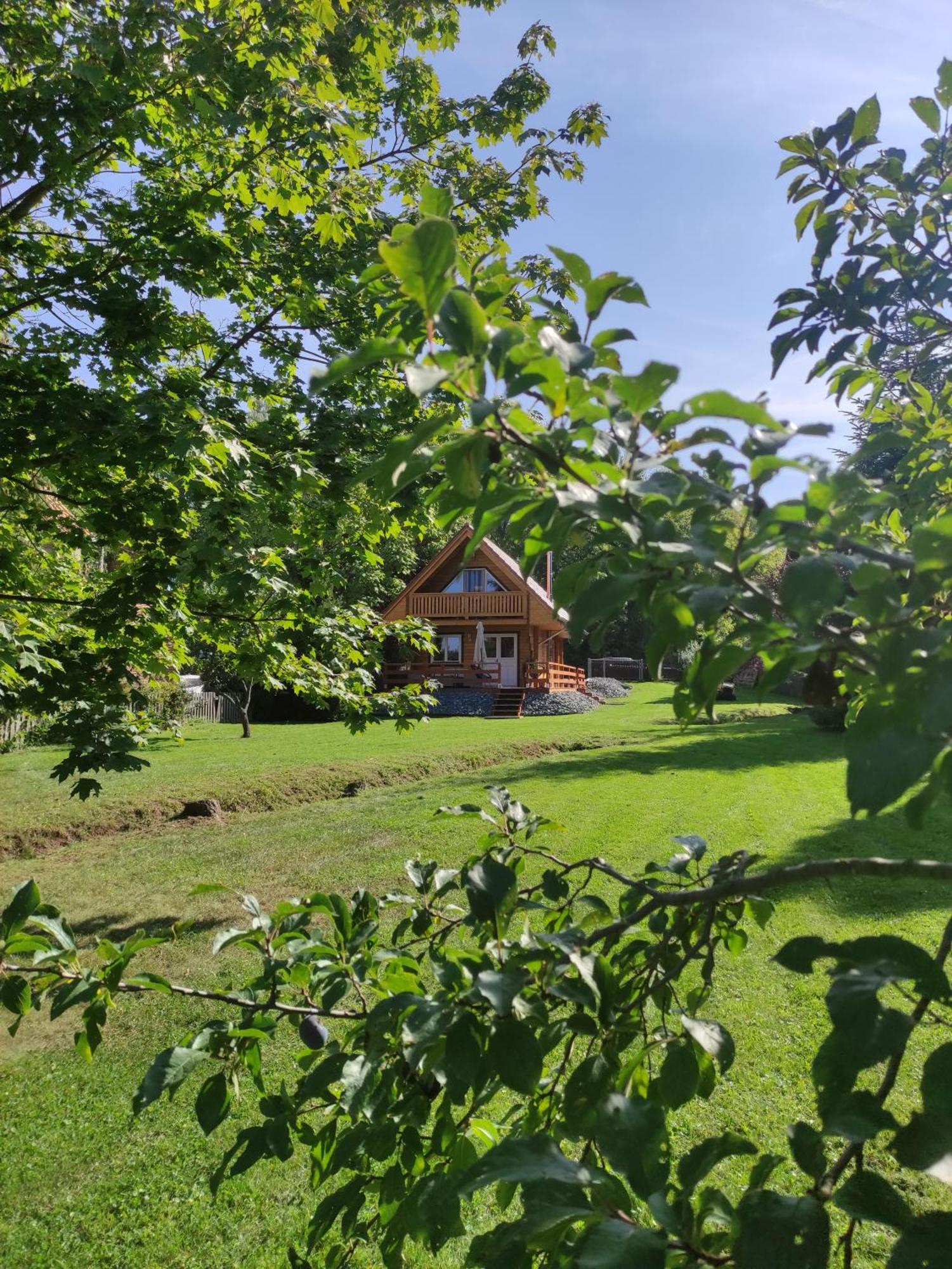 Ferienhaus Birkholz Harz Ilsenburg Ngoại thất bức ảnh